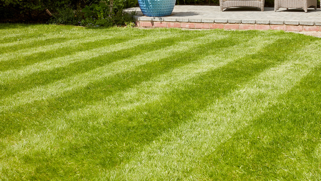 Buy Mountfield lawnmower grass deflector flaps